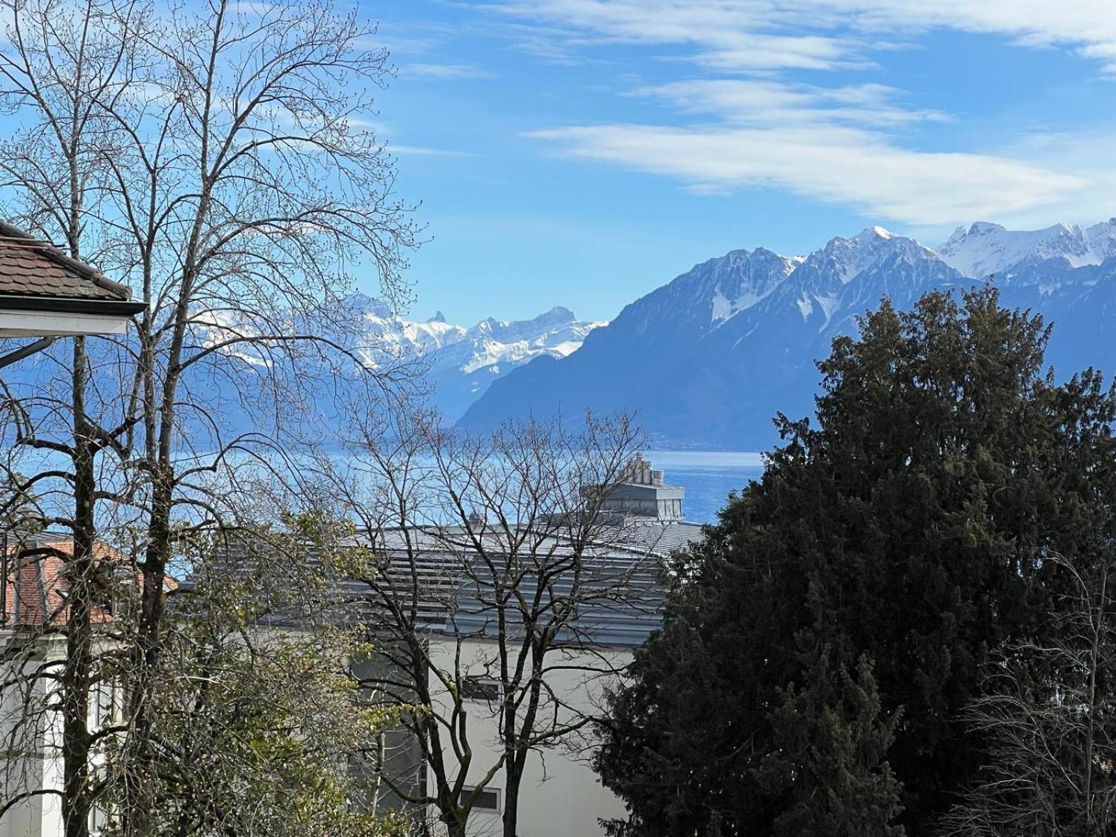 Charming Near The Geneva Apartamento